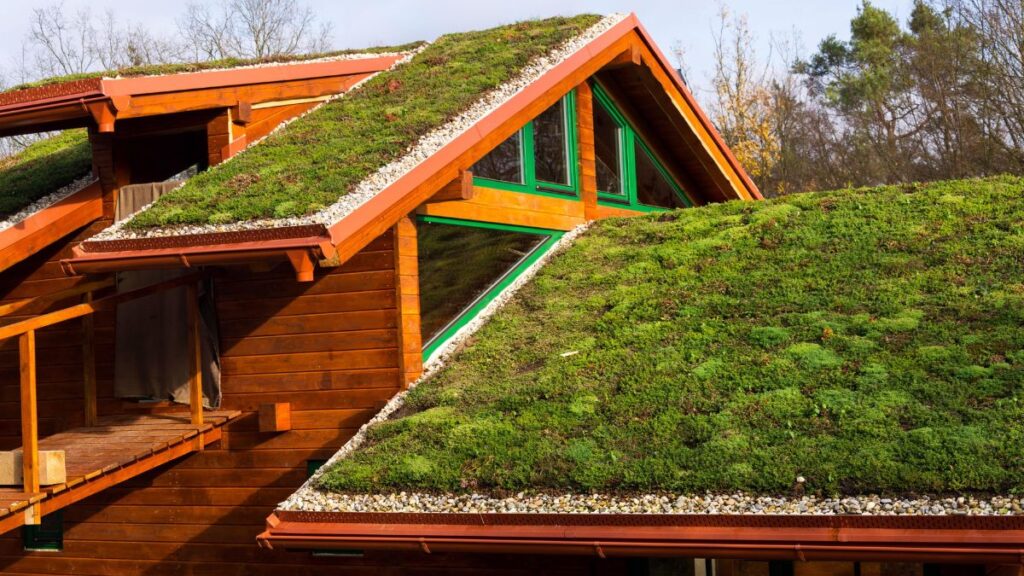 ecologisch huis met gras dakbedekking 