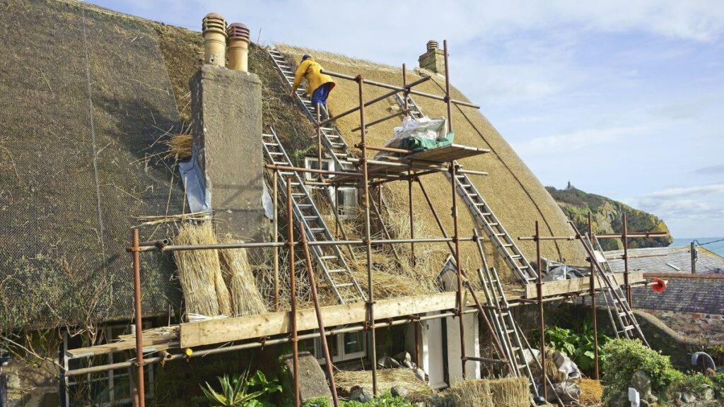 Dakwerkers plaatsen met geschikte stellingen en laders een rieten dakbedekking 