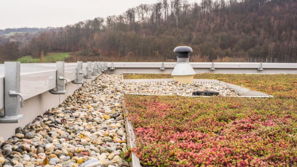 Groendak met vetplanten en grind op een plat dak 