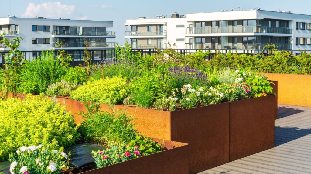 Verschillende plantenbakken met kruiden en bloem op een intensief groendak 